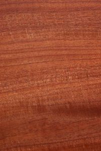 red cedar